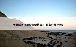 专业域名注册查询价格表？ 域名注册平台？