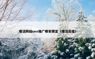 塘沽网站seo推广哪家便宜（塘沽百度）