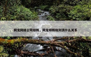 网龙网络公司郑辉，网龙郑辉和刘洪什么关系