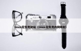 linux花生壳建站（linux花生壳内网映射）