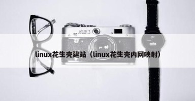 linux花生壳建站（linux花生壳内网映射）