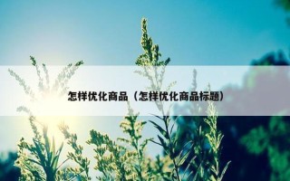 怎样优化商品（怎样优化商品标题）