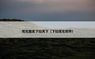 优化踏实下拉天下（下拉优化软件）