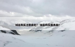 域名购买注册商处？ 域名购买服务商？