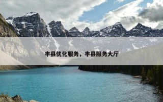 丰县优化服务，丰县服务大厅