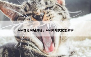seo优化网站流程，seo网站优化怎么学