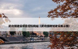 武功镇建设项目招标网站（武功镇规划建设展示图）