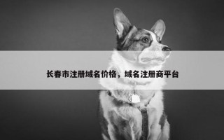 长春市注册域名价格，域名注册商平台