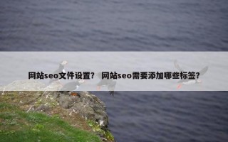 网站seo文件设置？ 网站seo需要添加哪些标签？