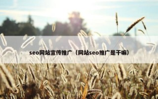 seo网站宣传推广（网站seo推广是干嘛）