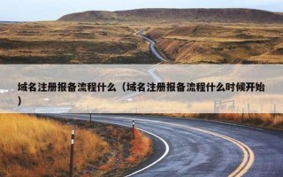 域名注册报备流程什么（域名注册报备流程什么时候开始）