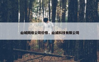 山城网络公司价格，山诚科技有限公司