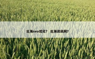 北海seo优化？ 北海资讯网？