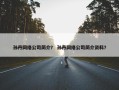 孙丹网络公司简介？ 孙丹网络公司简介资料？