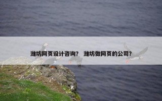 潍坊网页设计咨询？ 潍坊做网页的公司？