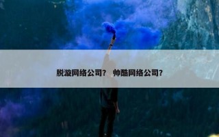 脱漩网络公司？ 帅酷网络公司？