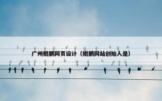 广州鲲鹏网页设计（鲲鹏网站创始人是）