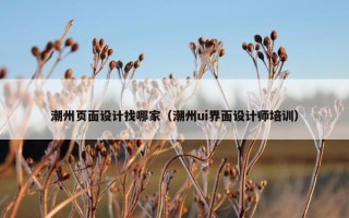 潮州页面设计找哪家（潮州ui界面设计师培训）