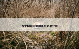 西安网站SEO服务的简单介绍