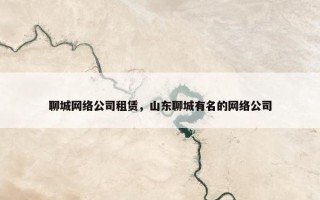 聊城网络公司租赁，山东聊城有名的网络公司