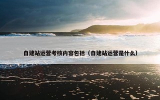 自建站运营考核内容包括（自建站运营是什么）
