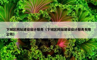 下城区网站建设设计服务（下城区网站建设设计服务有限公司）