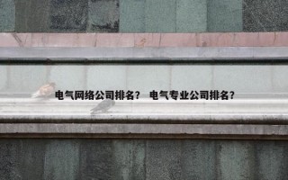 电气网络公司排名？ 电气专业公司排名？
