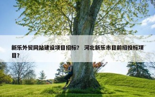 新乐外贸网站建设项目招标？ 河北新乐市目前招投标项目？