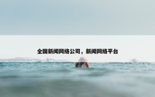 全国新闻网络公司，新闻网络平台