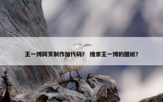 王一博网页制作加代码？ 搜索王一博的图纸？