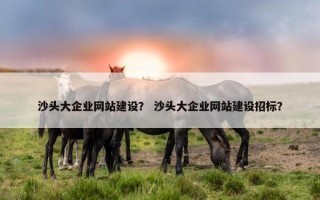 沙头大企业网站建设？ 沙头大企业网站建设招标？