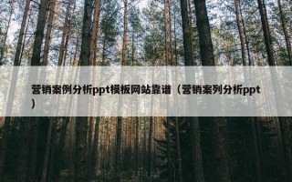 营销案例分析ppt模板网站靠谱（营销案列分析ppt）