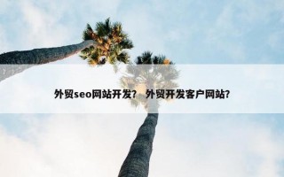 外贸seo网站开发？ 外贸开发客户网站？