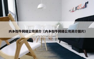 内乡挺牛网络公司简介（内乡挺牛网络公司简介图片）