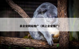 县企业网站推广（网上企业推广）