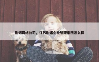 耐诺网络公司，江苏耐诺企业管理集团怎么样