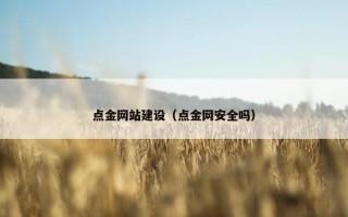 点金网站建设（点金网安全吗）