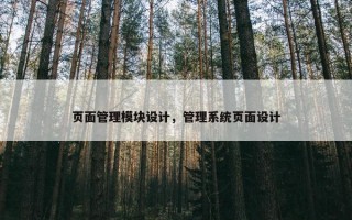 页面管理模块设计，管理系统页面设计