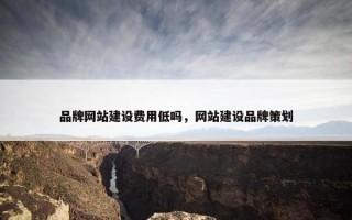 品牌网站建设费用低吗，网站建设品牌策划