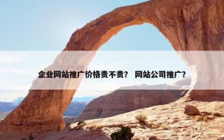 企业网站推广价格贵不贵？ 网站公司推广？