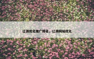 辽源优化推广排名，辽源网站优化