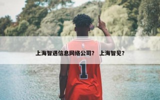 上海智遇信息网络公司？ 上海智见？