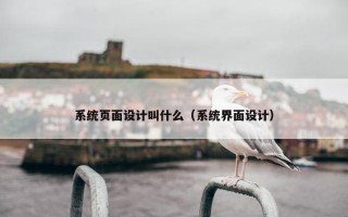 系统页面设计叫什么（系统界面设计）