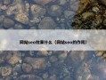 网站seo效果什么（网站seo的作用）