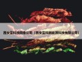 西安蓝科技网络公司（西安蓝科新能源科技有限公司）