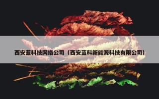 西安蓝科技网络公司（西安蓝科新能源科技有限公司）