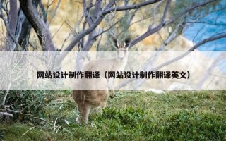 网站设计制作翻译（网站设计制作翻译英文）