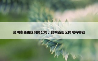 昆明市西山区网络公司，昆明西山区网吧有哪些