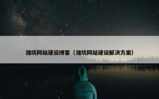 潍坊网站建设博客（潍坊网站建设解决方案）