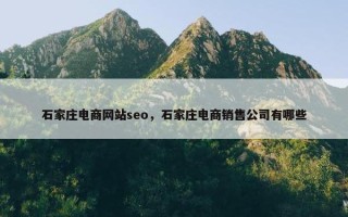 石家庄电商网站seo，石家庄电商销售公司有哪些